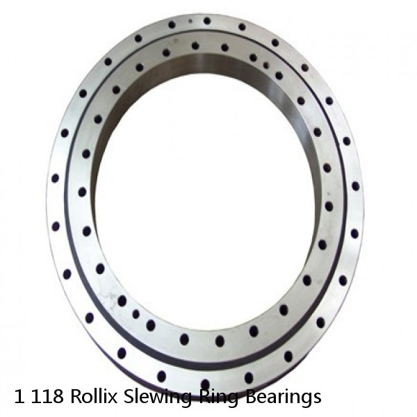 1 118 Rollix Slewing Ring Bearings