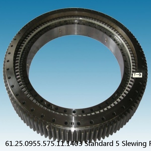 61.25.0955.575.11.1403 Standard 5 Slewing Ring Bearings