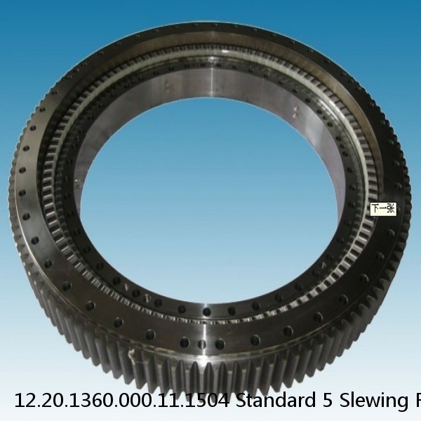 12.20.1360.000.11.1504 Standard 5 Slewing Ring Bearings