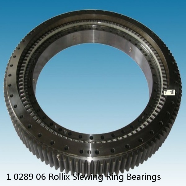 1 0289 06 Rollix Slewing Ring Bearings