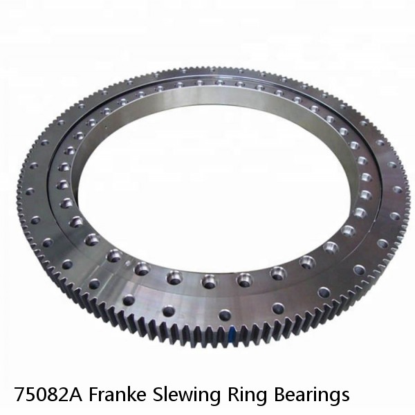 75082A Franke Slewing Ring Bearings