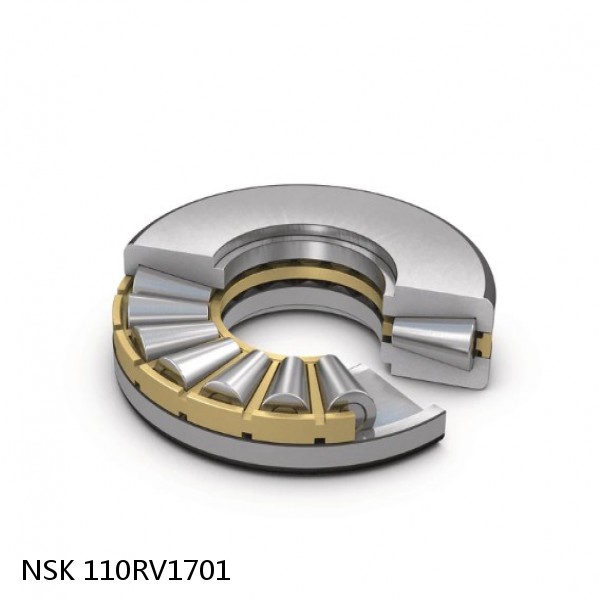 110RV1701 NSK Four-Row Cylindrical Roller Bearing
