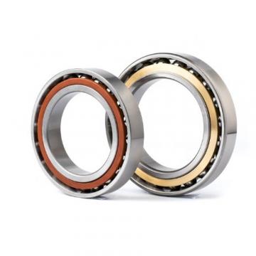 Toyana BK5518 cylindrical roller bearings