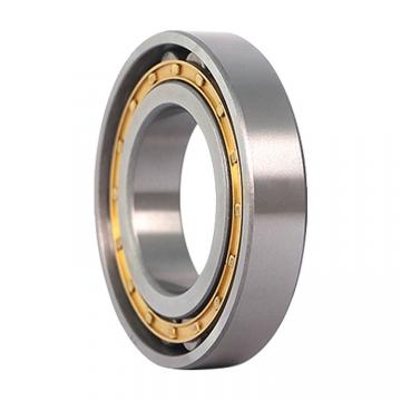 160 mm x 340 mm x 114 mm  SKF NUH2332ECMH/PEX cylindrical roller bearings