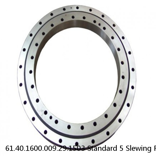 61.40.1600.009.29.1503 Standard 5 Slewing Ring Bearings