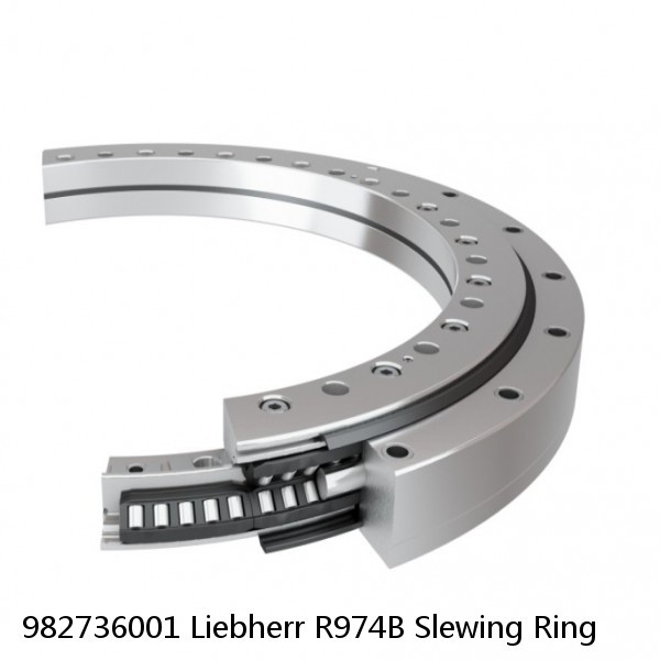 982736001 Liebherr R974B Slewing Ring