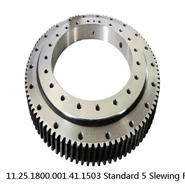 11.25.1800.001.41.1503 Standard 5 Slewing Ring Bearings