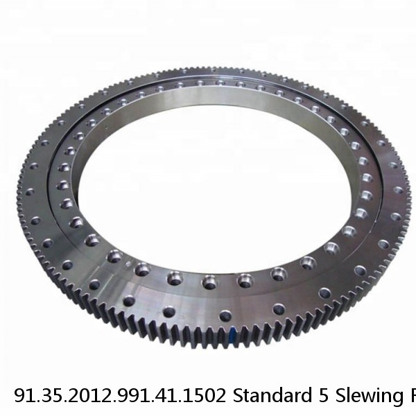 91.35.2012.991.41.1502 Standard 5 Slewing Ring Bearings