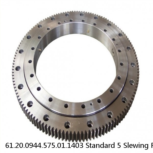 61.20.0944.575.01.1403 Standard 5 Slewing Ring Bearings