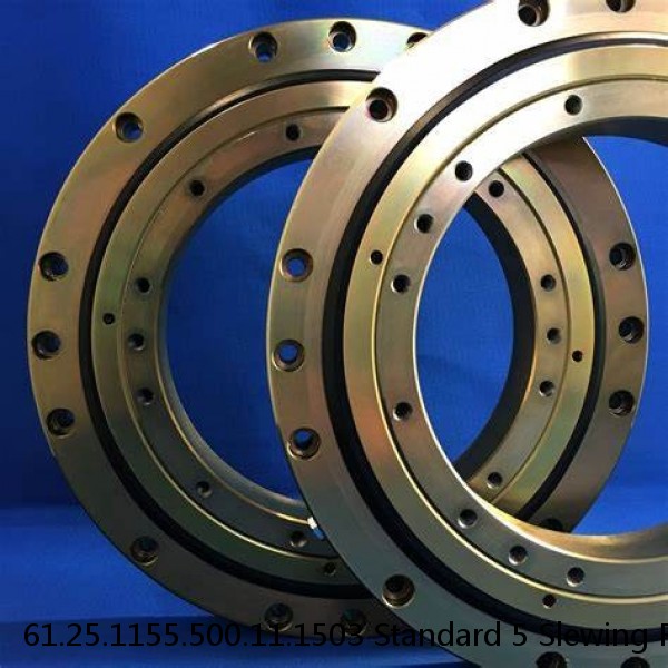 61.25.1155.500.11.1503 Standard 5 Slewing Ring Bearings