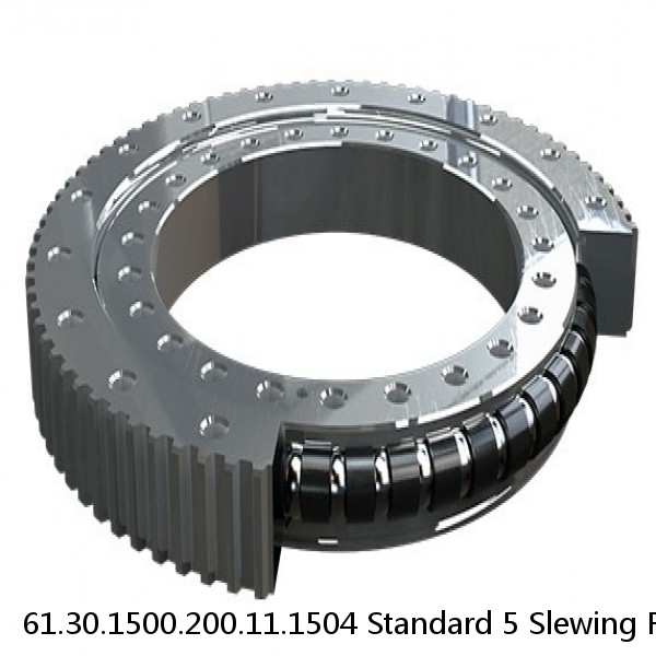 61.30.1500.200.11.1504 Standard 5 Slewing Ring Bearings