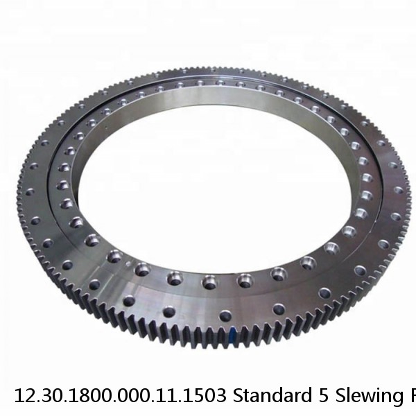 12.30.1800.000.11.1503 Standard 5 Slewing Ring Bearings