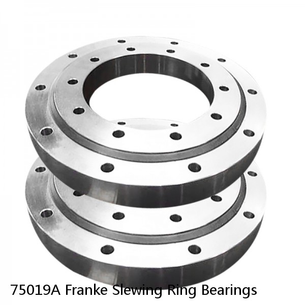 75019A Franke Slewing Ring Bearings