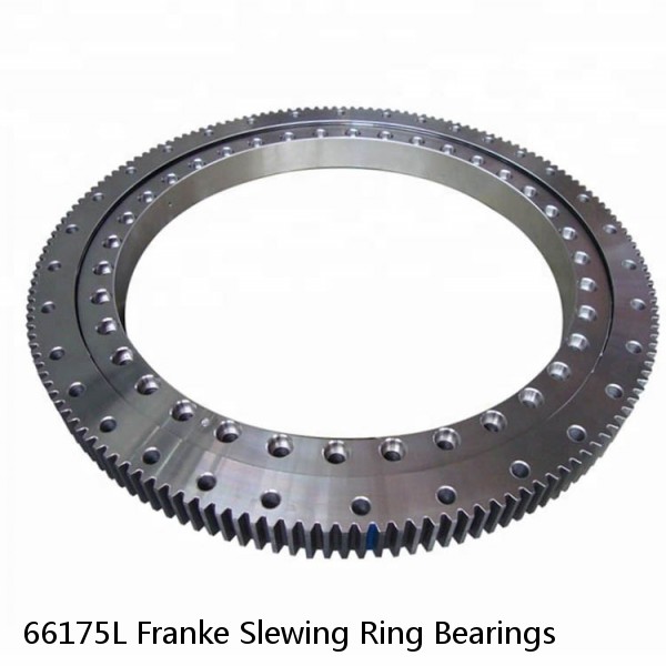 66175L Franke Slewing Ring Bearings