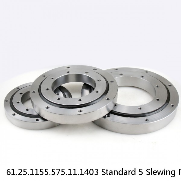 61.25.1155.575.11.1403 Standard 5 Slewing Ring Bearings