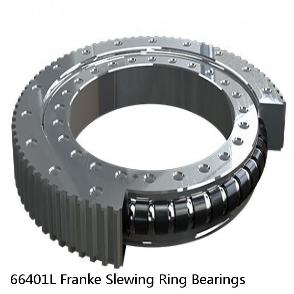 66401L Franke Slewing Ring Bearings