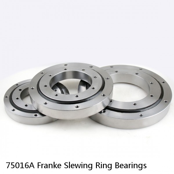 75016A Franke Slewing Ring Bearings