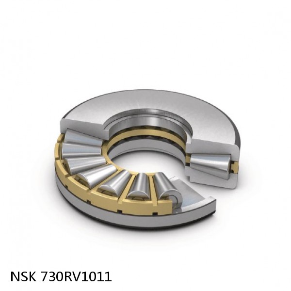730RV1011 NSK Four-Row Cylindrical Roller Bearing